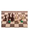 Ajedrez Profesional n 5 - Italia