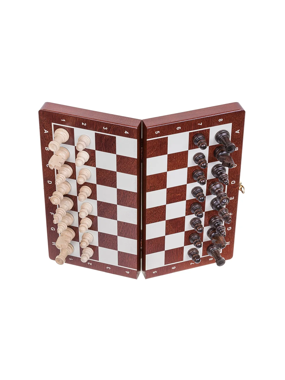 Scacchi Magnetico - Basic
