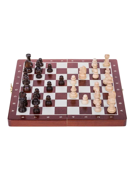 Scacchi Magnetico - Basic