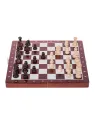 Scacchi Magnetico - Basic