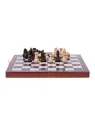 Scacchi Magnetico - Basic