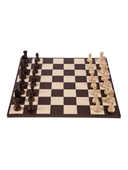 Jeu d'echecs professionnel n ° 6 - Amérique
