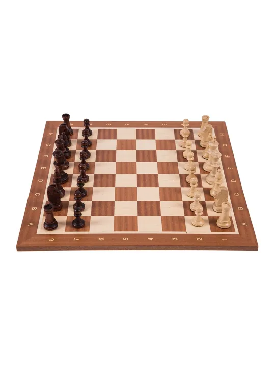 Ajedrez Profesional n 5 - Europa