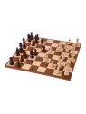 Ajedrez Profesional n 6 - Europa